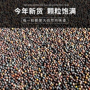 油菜籽鸟实玄风虎皮牡丹鹦鹉芙蓉鸟玉鸟雀鸟鸟食饲料鸟粮 5斤包邮