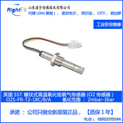极限电流型氧化锆氧气传感器 - SO-E2-250  10 ppm~96%氧气