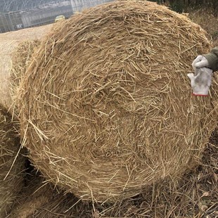 草垛凳子草垛垫草垛凳子圆形草垛干稻草草垛子麦草垛草垛道具摄影