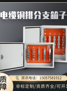 矿物质铜排电缆T接箱楼层T型BTTZ绝缘转换分支箱室内保护配电箱