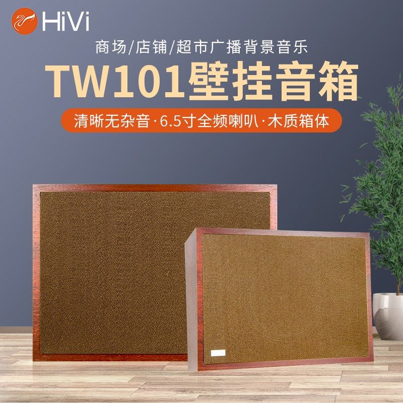 惠威TW106壁挂音响108/101教室音响公共广播喇叭背景音乐系统定压