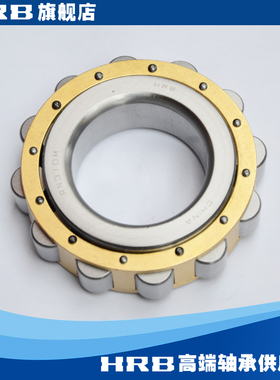 HRB  RN310 M   502310H 哈尔滨轴承无外圈偏心套圆柱滚