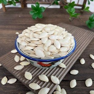 炫料带壳生南瓜子500g中大型鹦鹉鸟粮鸟食饲料新货白瓜子仓鼠零食