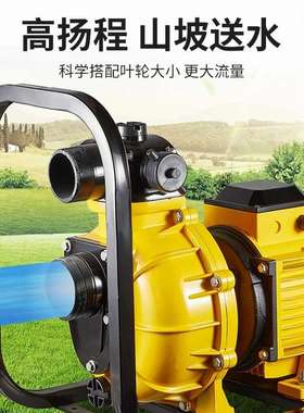 EWB自吸污泥浆泵化粪池池塘淤泥排污泵 2寸/3寸大流量农用离心泵