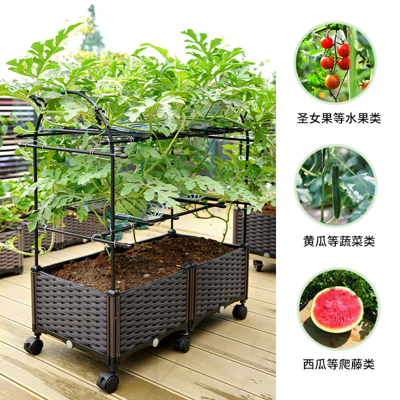 西瓜种植箱种菜盆花盆爬藤架黄瓜盆花园藤架家庭楼顶阳台菜园蔬菜