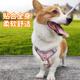 狗狗牵引绳背心式 泰迪中小型犬比熊博美胸背带小狗幼犬遛狗绳