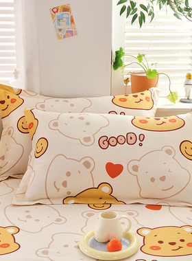 卡通全棉枕套纯棉枕头套皮枕芯套儿童30x50单人学生小清新48x74cm