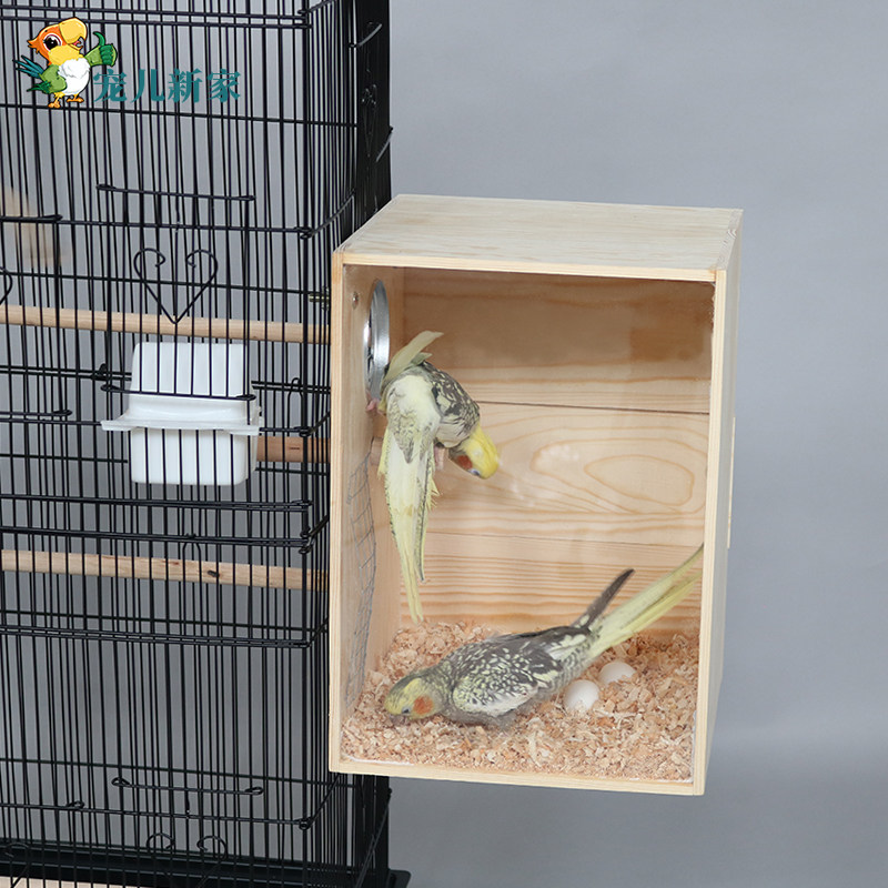宠儿新家透明实木鹦鹉繁殖箱 鸟巢箱鸟窝鸟笼繁殖盒子 送木屑站杠,宠物/宠物食品及用品,鸟禽其他,淘宝优惠券,粉丝福利购,淘宝优惠卷
