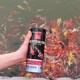森森金鱼饲料鱼食小颗粒观赏鱼高螺旋藻增色鱼粮锦鲤鱼饲料不浑水