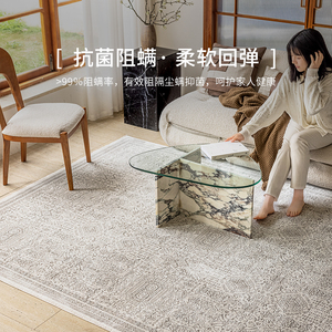 视觉味道土耳其进口现代复古地毯法式客厅抑菌家用免打理环保卧室