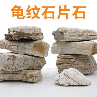 悦积分龟纹石片石乌龟晒台天然原石大块盆景假山石鱼缸龟缸小块造