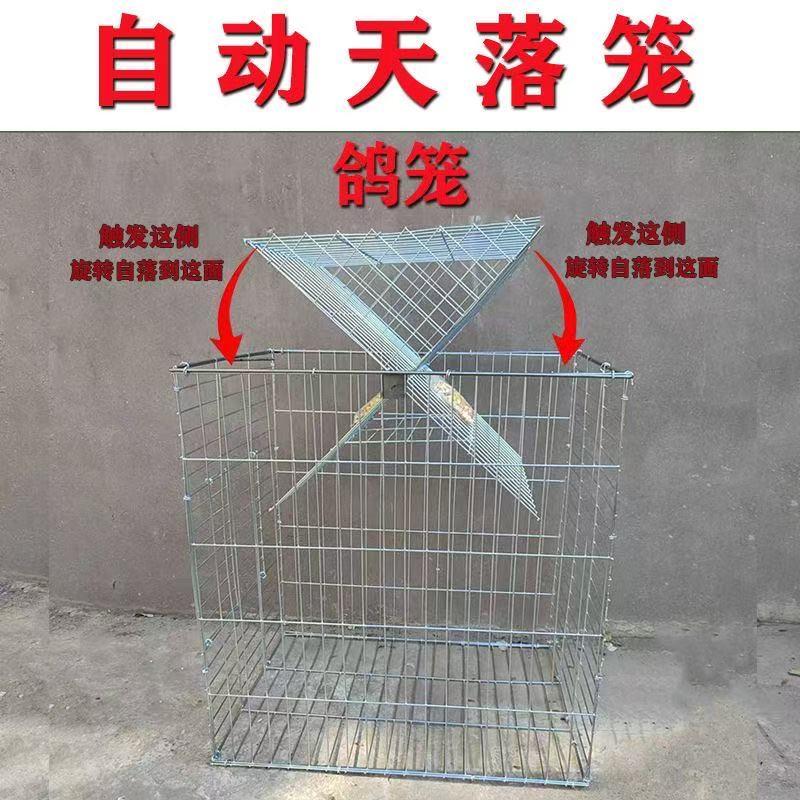 天落笼鸽子笼加密鸽子活络门户外用撞门收鸽子笼铁笼跳笼鸽子用品