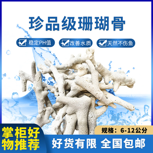 优选大块珊瑚骨滤材优质天然珊瑚石鱼缸过滤材料水族箱净水造专用