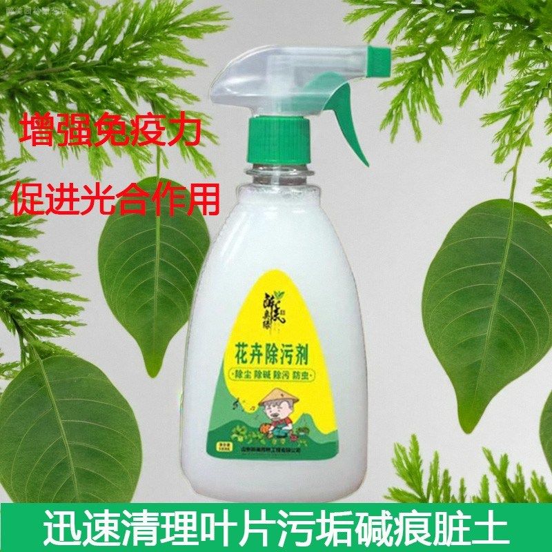 植物亮叶剂花卉除污剂一喷净叶面光亮剂清洗灰尘水碱叶面除污增亮,鲜花速递/花卉仿真/绿植园艺,家庭园艺肥料,淘宝优惠券,粉丝福利购,淘宝优惠卷
