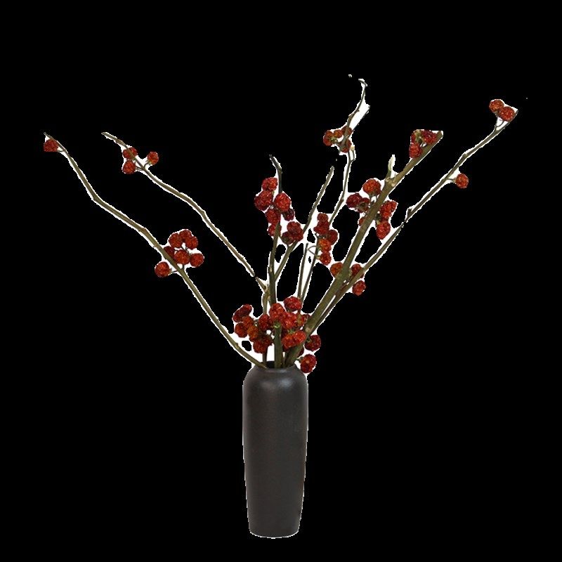小南瓜果干枝干花装饰天然真花家居软装红色插花树枝摆件造景陈设,鲜花速递/花卉仿真/绿植园艺,干花,淘宝优惠券,粉丝福利购,淘宝优惠卷
