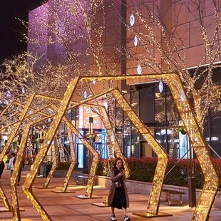 LED彩灯闪灯串灯满天星户外防水节日装饰品婚庆布置圣诞树星星灯