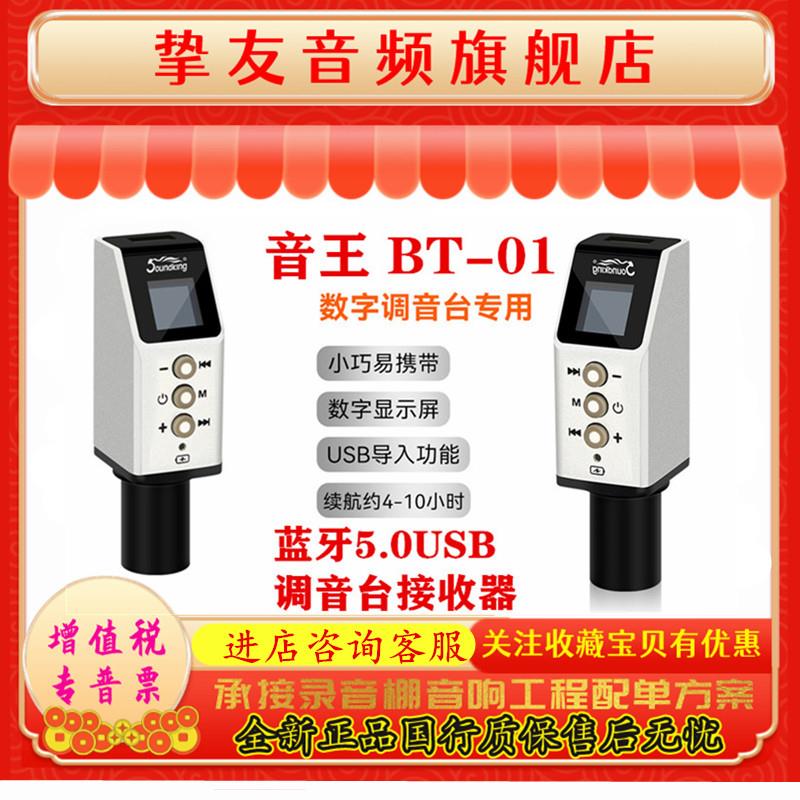 Soundking/音王 BT-01蓝牙5.0USB音频数字混音器手机接收器DM20m