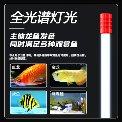 金龙红龙鱼专用诱发色灯烤色灯nec鱼缸灯三基色T5潜水灯管全光谱