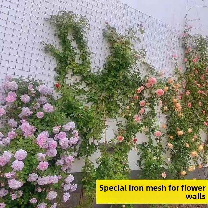 爬藤铁丝网花架月季蔷薇植物上墙爬藤专用钢丝网花墙网格架花卉架