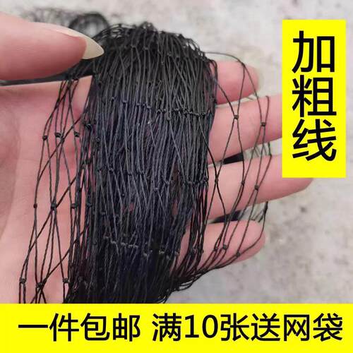 防蛇尼龙网高丝柔软黑色尼龙网单层鱼网捉黄鳝捕鱼尼龙网加粗