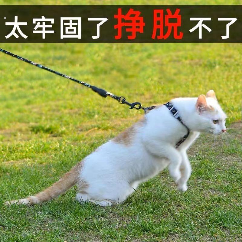 幼猫牵引绳超小号猫咪牵引绳可调节溜猫绳小型犬幼猫外出专用链子