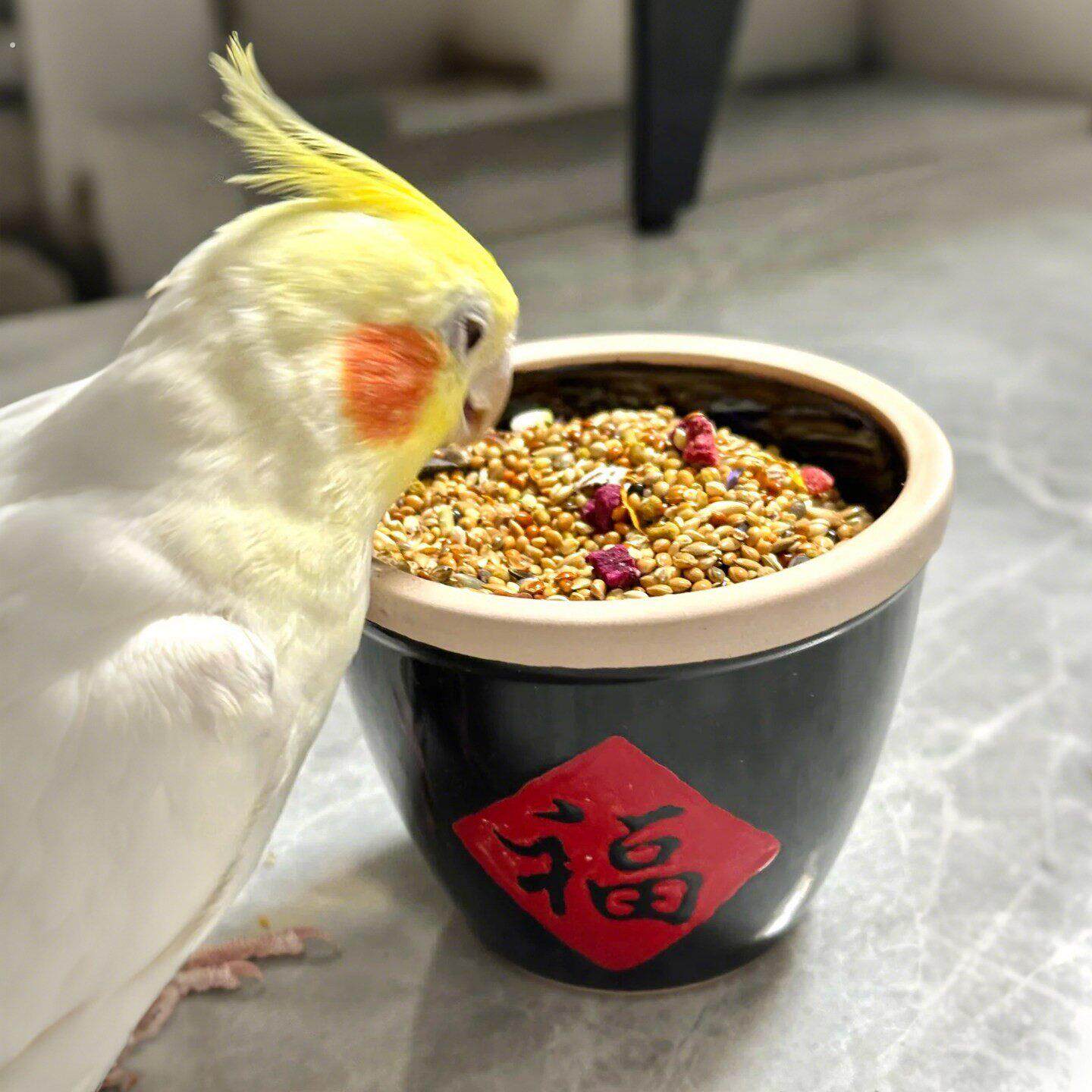 福满粮仓~鹦鹉食盆陶瓷碗创意可爱鸟用防溅防打翻饲料盆宠物用品