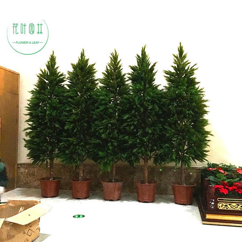 彷真柏树松树枝苗杉树松叶子假刺柏塔柏装饰塑料玻璃纤维大型柏树