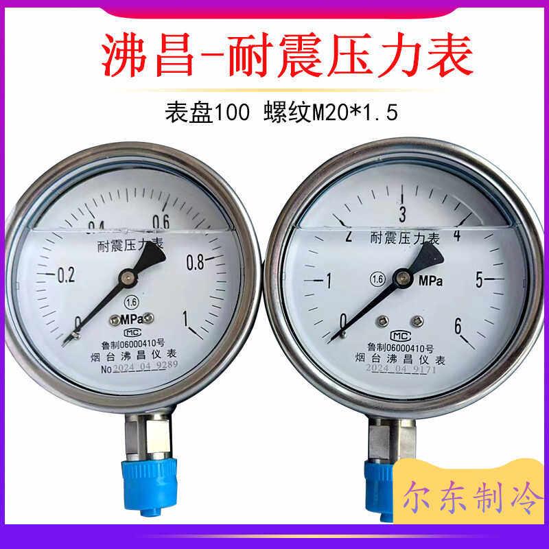 烟台沸昌耐震压力表YN-100制冷二氧化碳不锈钢抗震真空表0-4/0-6