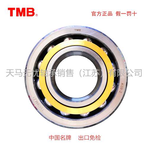 TMB轴承浙江天马 角接触球轴承7312BM7317BM7320BM7322BM高速水泵