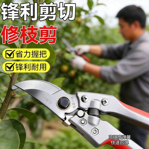 园艺修枝剪专业级园艺剪刀剪枝条专用高效省力果园修树枝园林