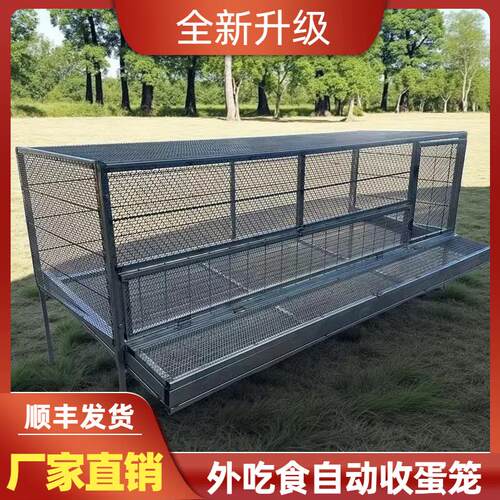 鸡笼子家用室外防雨自动收蛋防啄防黄鼠狼防鼠加厚不锈下蛋养殖笼