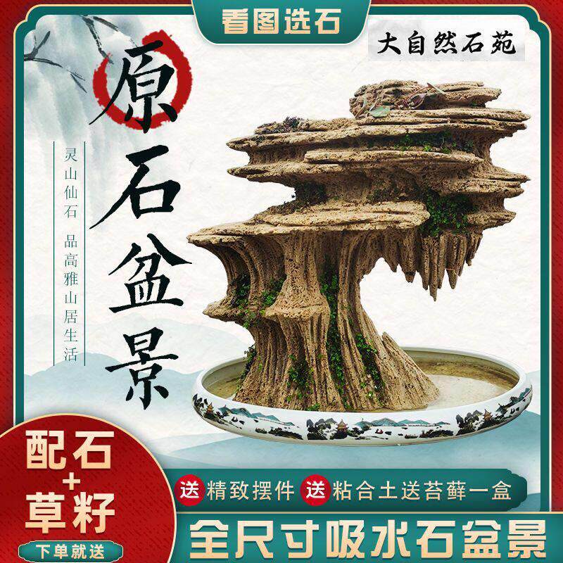 中大型吸水石上水石假山盆景园林观光石天然原石水秀石庭院镇宅石