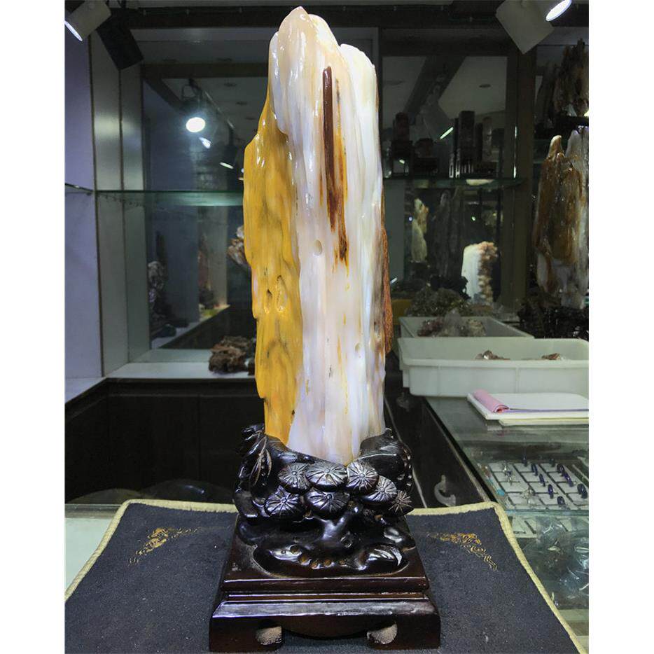 精品缅甸木化玉冰种树化石原石天然桌面奇石小件玄关树化玉摆件