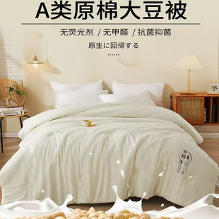 A类全棉大豆蛋白纤维被子冬被春秋被被纯棉四季被单人双人零甲醛