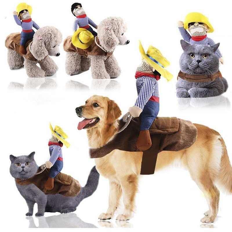 工厂直销 狗狗衣服猫咪宠物用品骑马装变身装万圣节搞怪小中型犬