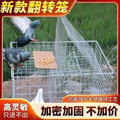 滚鸟的滚笼捕鸽神器鸟笼鸽笼养殖厂自动天落笼旋转笼翻板笼镀锌