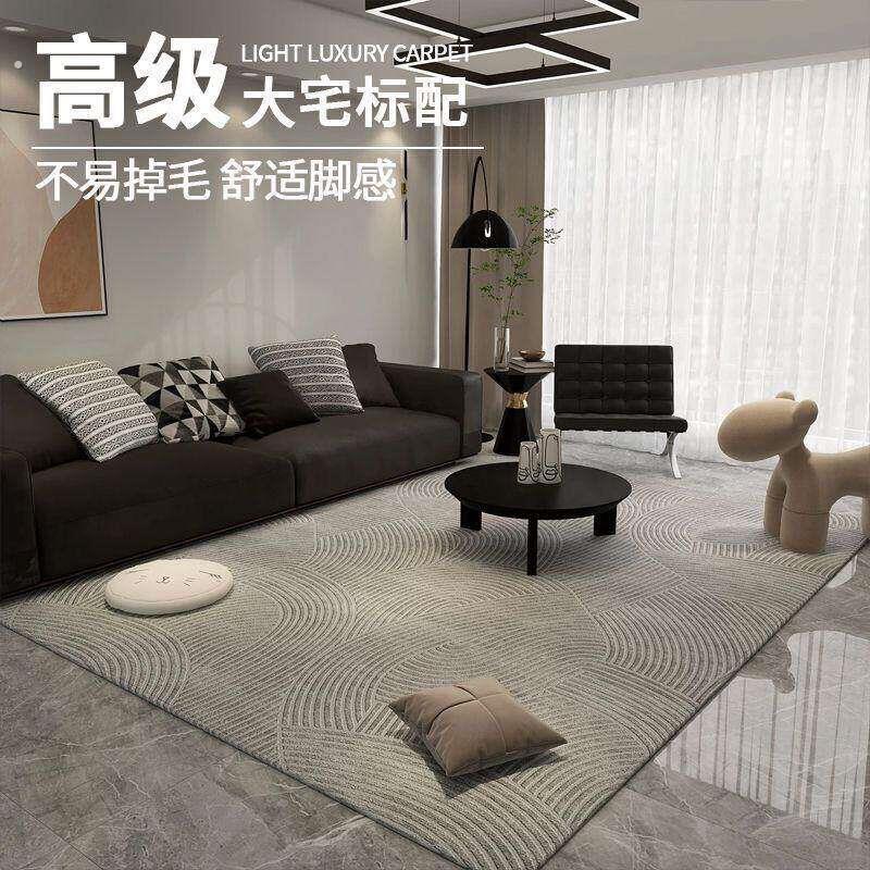 地毯客厅小尺寸2024新款乔迁欧式红色小户型进门免洗可擦 高颜值
