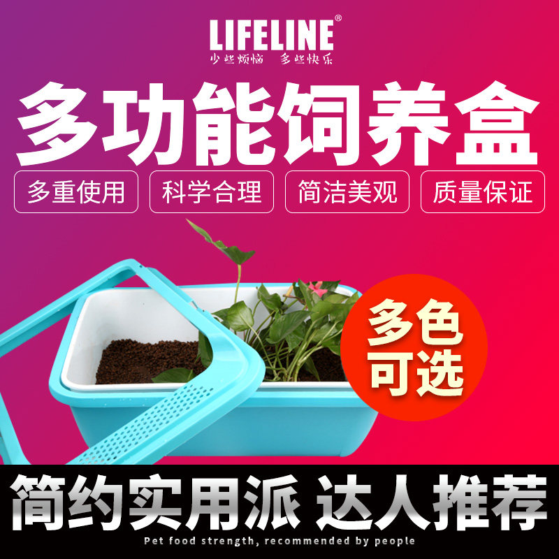 命脉水龟半水龟饲养箱双层爬虫刺猬宠物饲养盒塑料爬行动物,宠物/宠物食品及用品,爬宠缸/箱,淘宝优惠券,粉丝福利购,淘宝优惠卷