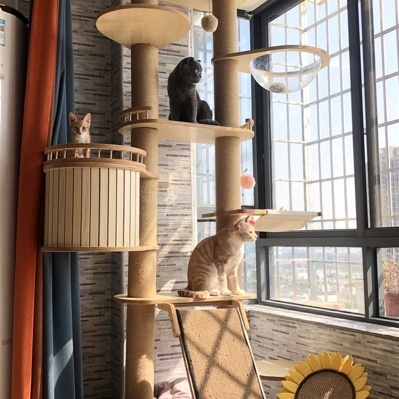 伊萌萌一体豪华大型猫爬架双柱通天柱顶天立地四季通用猫窝猫树
