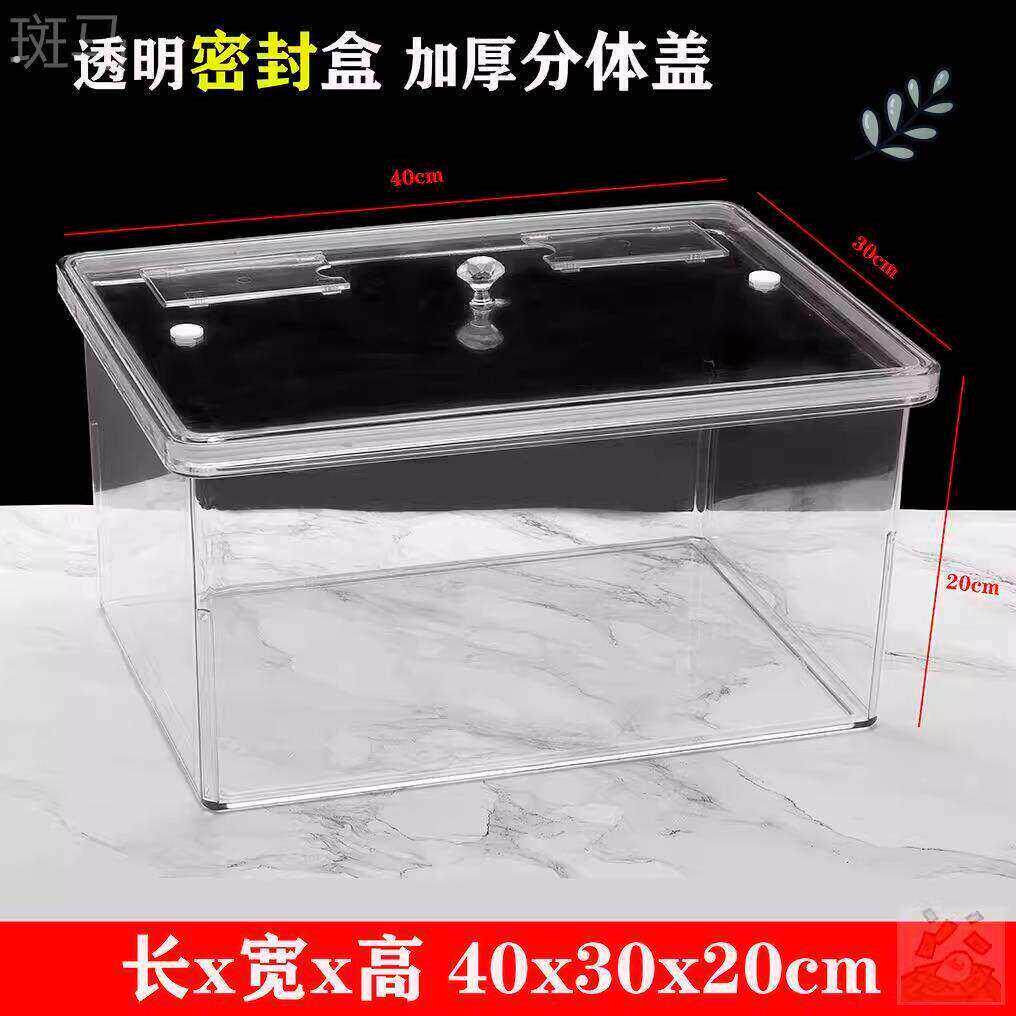 泡菠萝专用缸装卖盐水菠萝的罐子摆摊容器塑料超市货架陈列展示盒