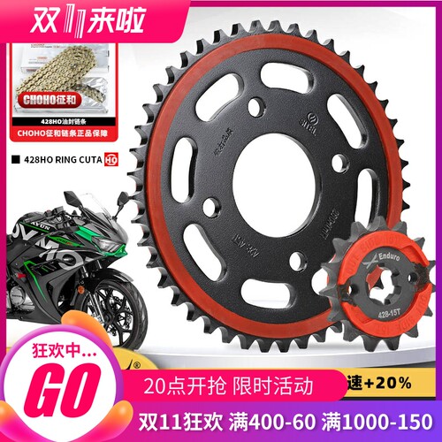 适用大运天錾DY200R DY200-5F仿赛机车大齿盘链轮征和油封链条