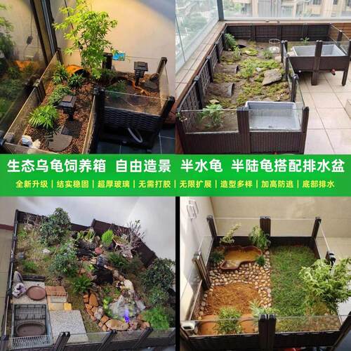 黄缘龟专用饲养箱养宠物陆龟箱半水龟缸生态造景箱安缘台缘养殖箱