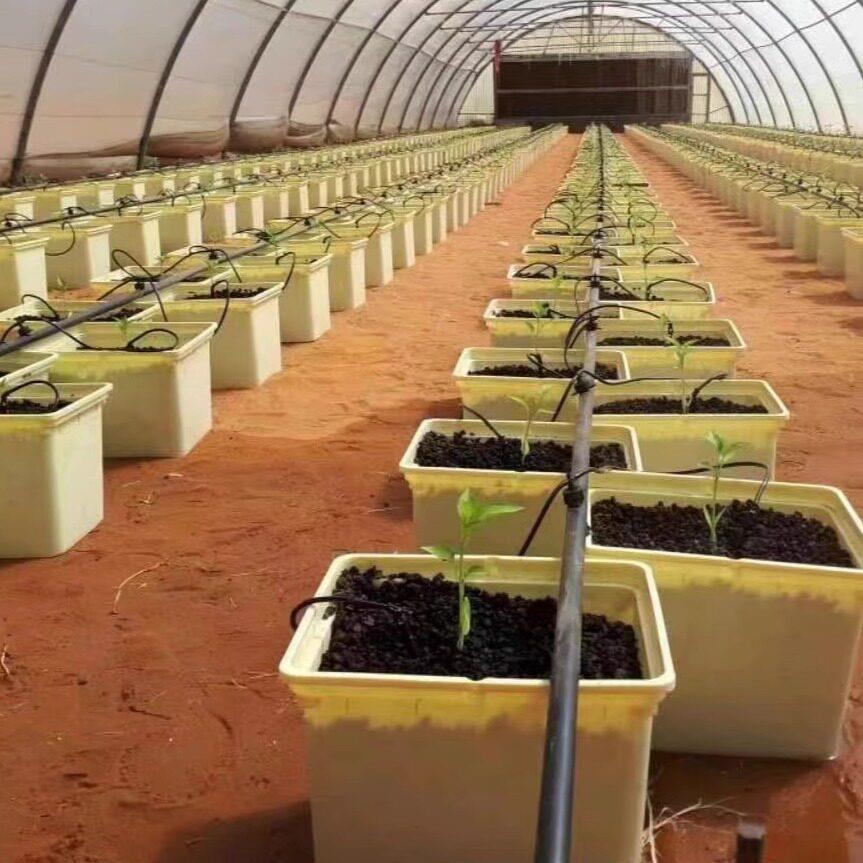 家庭阳台种菜盆荷兰桶无土栽培花盆盆栽塑料家用屋顶楼蔬菜种植箱