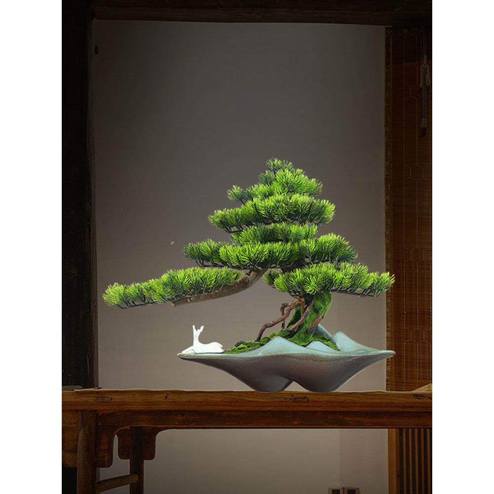 假松木图加绿色植物装饰模拟室内盆栽彷生绿化迎宾松木盆景