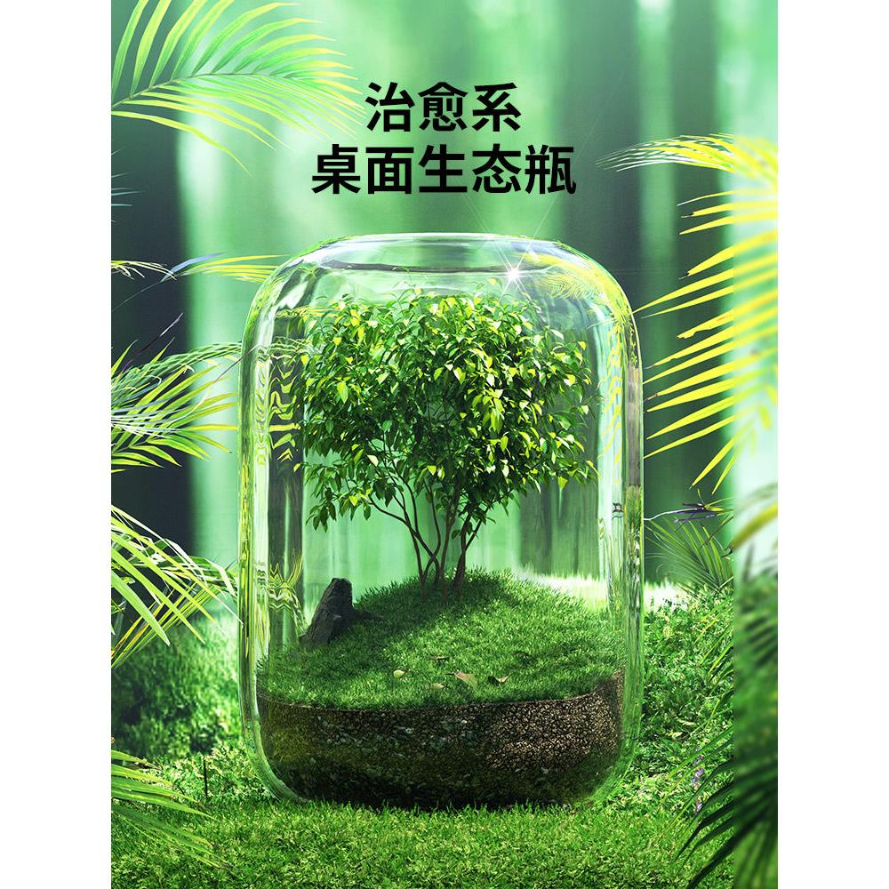 办公室桌面生态瓶自循环微景观免打理微生态玻璃微观鱼缸空瓶造景