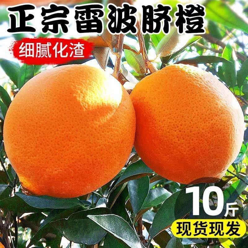 四川大凉山正宗雷波脐橙大果新鲜水果纽荷尔橙子礼盒西昌
