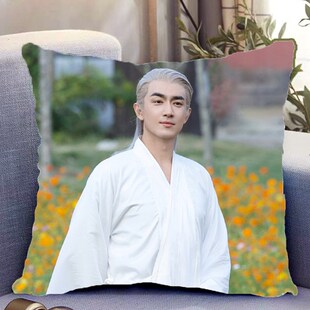林更新与凤行行止行云周边双面抱枕照片带枕芯靠枕垫枕头礼物定制