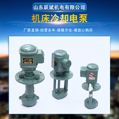 浙日机床冷却泵 三相电泵油泵DB-12/AB-25离心泵 机床泵循环水泵