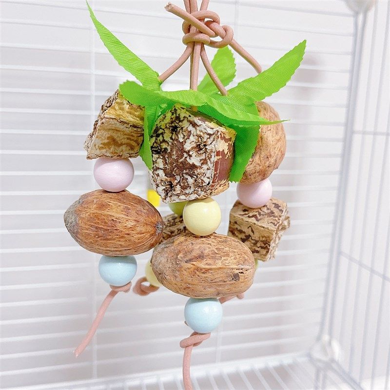 8玖-鹦鹉玩具磨牙果实藤球虎皮玄凤鹦鹉鸟用品笼装饰玩具啃咬玩耍,宠物/宠物食品及用品,鸟玩具,淘宝优惠券,粉丝福利购,淘宝优惠卷
