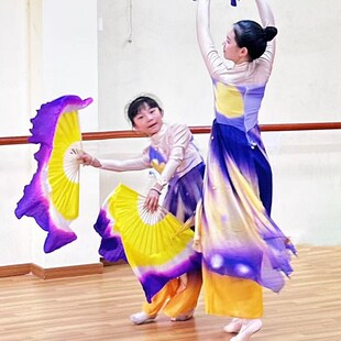 十八焕蝶舞蹈服中国风紫色艺考剧目表演服装儿童古典舞扇子演出服